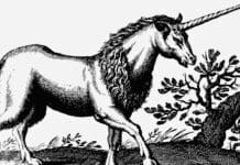 Unicorns in the Bible? Why the Mythical Creature Is Mentioned In Scripture